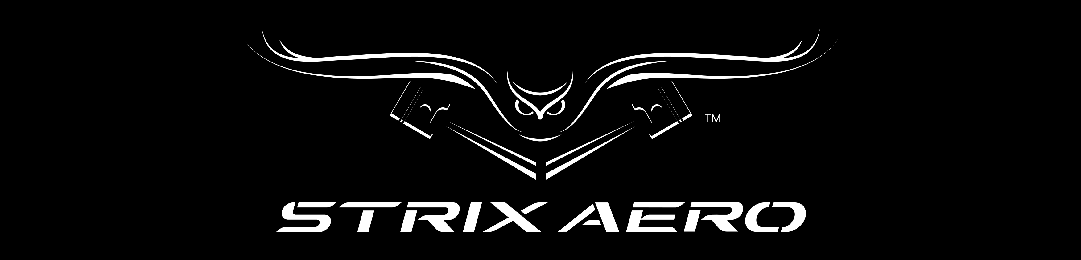 Strix Aero